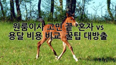 원룸이사 고민 끝! 📦 혼자 vs 용달 비용 비교 & 꿀팁 대방출!
