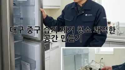 대구 중구 습기 제거 청소: 쾌적한 공간 만들기