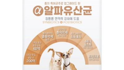 댕냥이 꿀피부 비결! 유산균 후기 & 꿀팁 대방출 🐶🐱✨