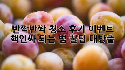 ✨반짝반짝✨ 청소 후기 이벤트, 핵인싸 되는 법! 꿀팁 대방출🍯